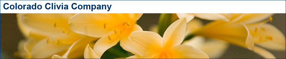 Colorado Clivia Company